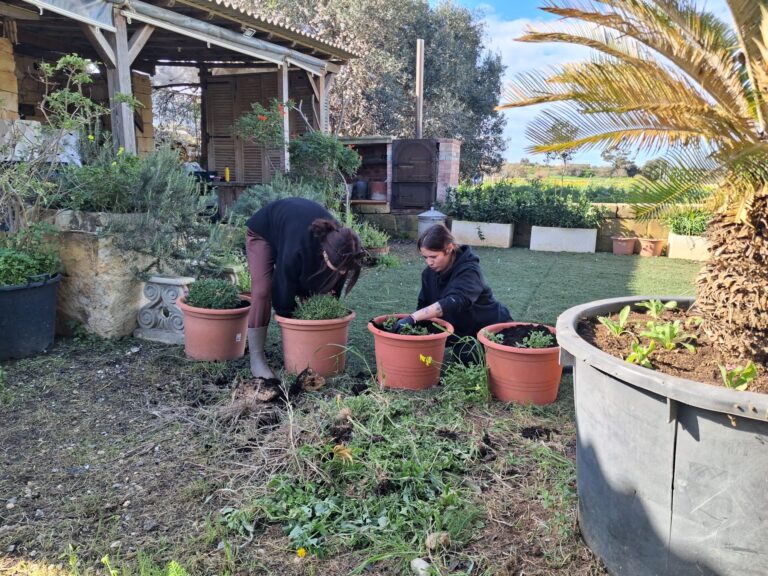 1a1920e9-dbf3-4a0f-9abb-b7015bb8db40